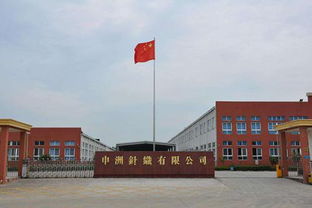 申洲國際半年業績增收10.8%，生產效率提升成關鍵驅動力，運動類產品銷售額占67.9%